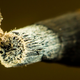 Image for article titled Wood Shooting Challenge